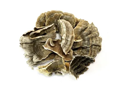 Technical Image