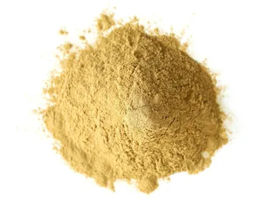 Case Study Image